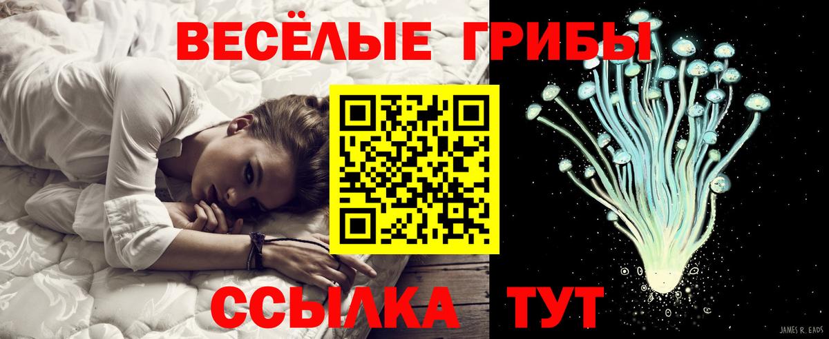 Галлюциногенные грибы мухоморы Котельники
